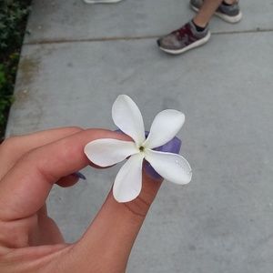 Meet your Posher, Krystyn